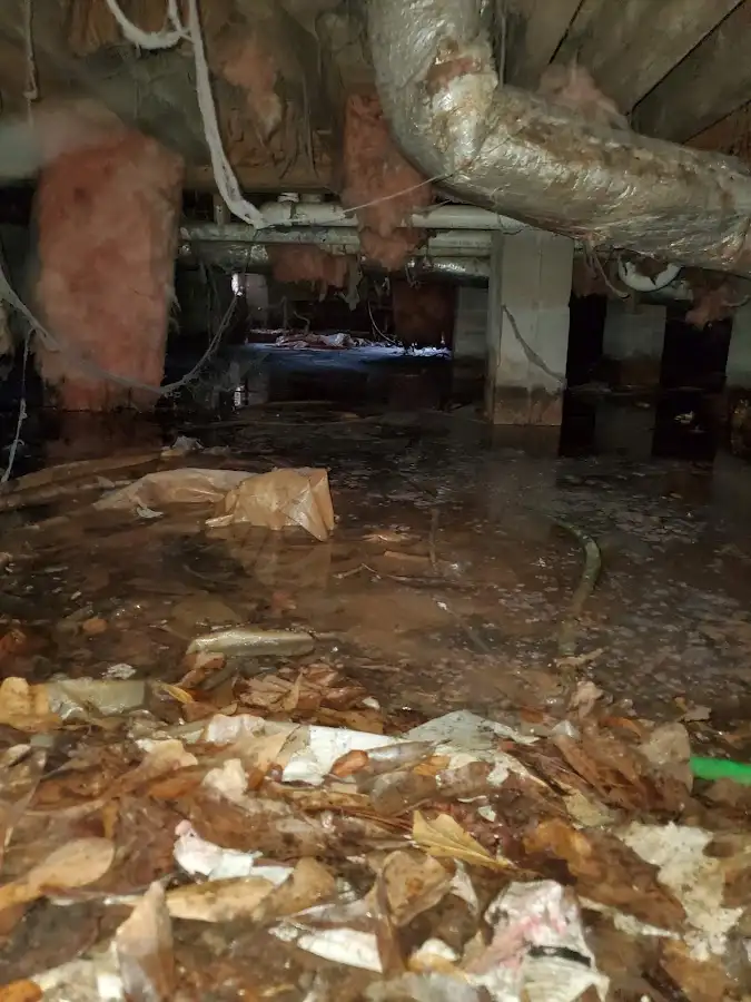 Crawl space flood assessment for Leak Detection & Repair in Tinley Park